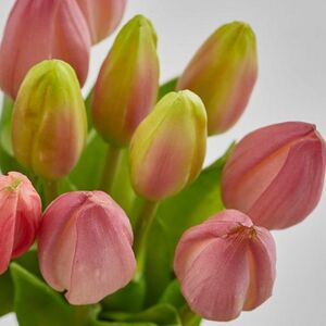 Силиконовые тюльпаны Hidalgo 9 шт, 29 см розовые EDG фото 8