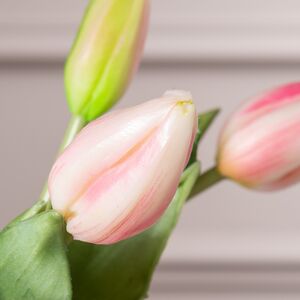 Силиконовые тюльпаны Hidalgo 9 шт, 29 см нежно-розовые EDG фото 2