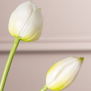 Силиконовые тюльпаны Maureen 5 шт, 40 см EDG фото 6
