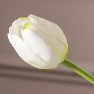 Силиконовые тюльпаны Maureen 5 шт, 40 см EDG фото 2