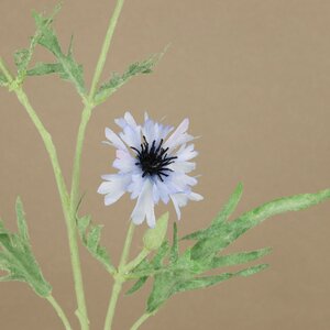 Искуcственный цветок Василек - Blu Pallido 71 см EDG фото 2