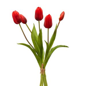 Силиконовые тюльпаны Stella dell Arizona 5 шт, 40 см EDG фото 10