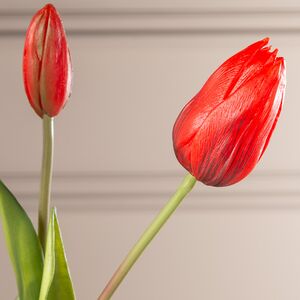 Силиконовые тюльпаны Stella dell Arizona 5 шт, 40 см EDG фото 5