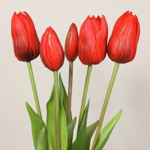 Силиконовые тюльпаны Stella dell Arizona 5 шт, 40 см EDG фото 7