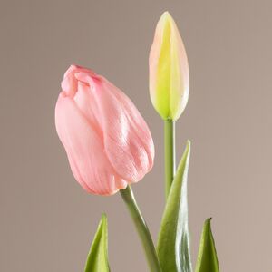 Силиконовые тюльпаны Signora Rosa 5 шт, 40 см EDG фото 2