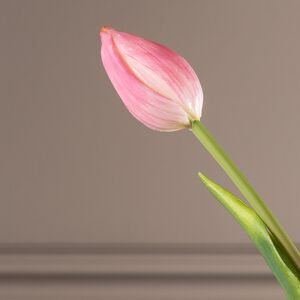 Силиконовые тюльпаны Abe Lenstra 5 шт, 40 см EDG фото 5