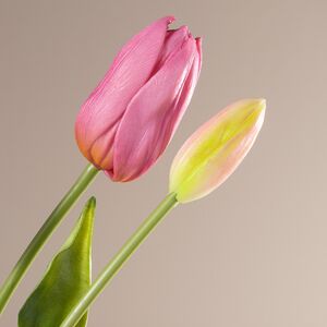 Силиконовые тюльпаны Abe Lenstra 5 шт, 40 см EDG фото 2