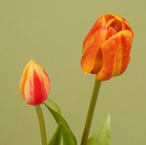 Силиконовые тюльпаны Лейден 3 шт, 48 см оранжевые EDG фото 8