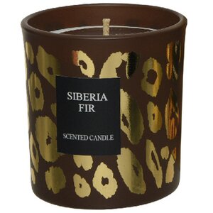 Ароматическая свеча в стакане Deluxe Edition - Сибирская сосна 8 см, 28 часов горения Kaemingk фото 1