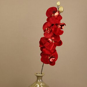 Искусственная орхидея Royal Ruby 67 см (Kaemingk, Нидерланды). Артикул: ID74927