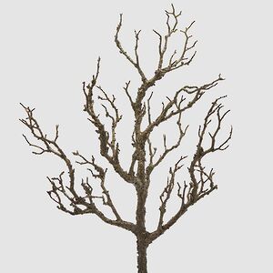 Искусственная ветка Акация Colorato 58 см