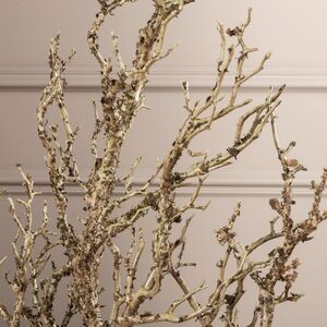 Искусственная ветка Акация Твисти 81 см EDG (ЭДГ) фото 5