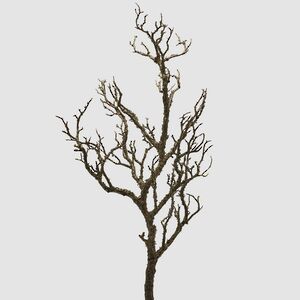 Искусственная ветка Акация Colorato 81 см