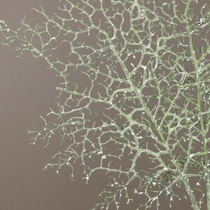 Искусственная ветка Asciutta 63 см зеленая EDG фото 5