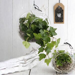 Стеклянный шар для декора Мелоне 14 см (Ideas4Seasons, Нидерланды). Артикул: 28053-4seasons