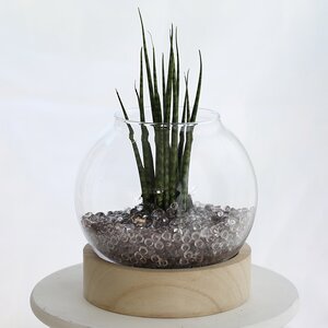 Стеклянная ваза на подставке Жардин 21 см (Ideas4Seasons, Нидерланды). Артикул: 29414