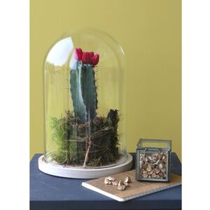 Стеклянный клош для декора Джойсан 25 см Ideas4Seasons (Идеас Фор Сезонс) фото 4
