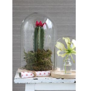 Стеклянный клош для декора Джойсан 25 см Ideas4Seasons (Идеас Фор Сезонс) фото 5