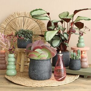 Насадка-фитиль для масляной лампы 20 см Ideas4Seasons (Идеас Фор Сезонс) фото 3