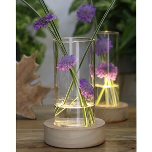 Стеклянная ваза с подсветкой Lokrum 17 см, на батарейках (Ideas4Seasons, Нидерланды). Артикул: 30183