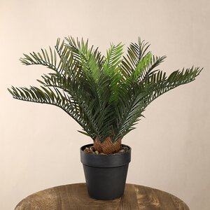 Искусственное растение в горшке Foglie di Palma 30 см Koopman фото 1
