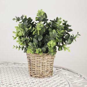 Искусственный эвкалипт в горшке Беларра 28 см