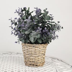 Искусственный эвкалипт в горшке Гласвелти 26 см