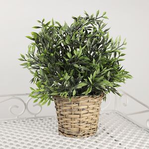 Искусственный эвкалипт в горшке Граэси 26 см (Koopman, Нидерланды). Артикул: 317002290-4