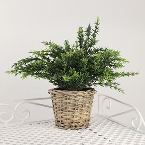 Искусственный эвкалипт в горшке Феаро 26 см