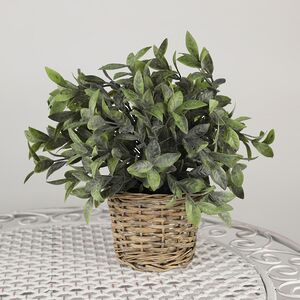 Искусственный эвкалипт в горшке Руохо 26 см (Koopman, Нидерланды). Артикул: 317002290-6