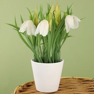 Искусственный цветок в горшке Бьянке - Подснежник 21 см (Koopman, Нидерланды). Артикул: 317005100-6