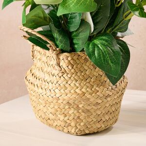 Искусственный цветок в горшке Петуния 35*20 см белая Koopman (Купман) фото 3