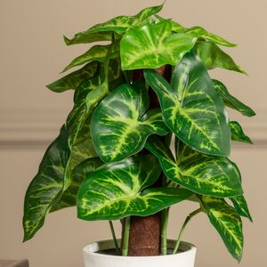 Искусственное растение в горшке Сингониум 25 см Koopman (Купман) фото 2