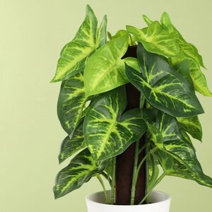 Искусственное растение в горшке Taro 25 см Koopman фото 2