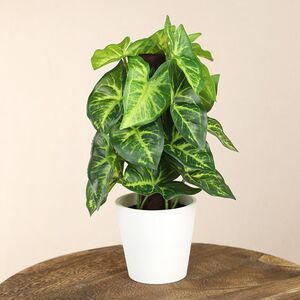 Искусственное растение в горшке Taro 25 см Koopman фото 4