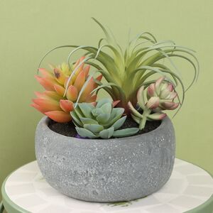 Искусственное растение в кашпо Succulent: Defole 13 см
