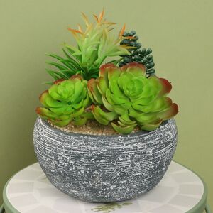 Искусственное растение в кашпо Суккулент: Либерта 17 см