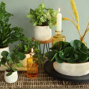 Керамическое кашпо Пуэрто 24*8 см бежевое Ideas4Seasons фото 3