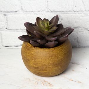 Искусственное растение в горшке Гастерия Моргана 13 см (Hogewoning, Нидерланды). Артикул: 402877-1