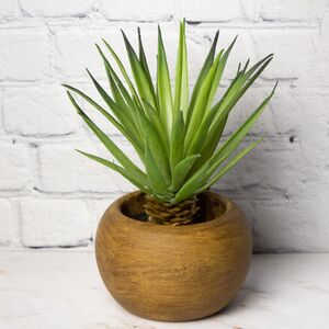 Искусственное растение в горшке Хавортия Моргана 13 см (Hogewoning, Нидерланды). Артикул: 402877-5