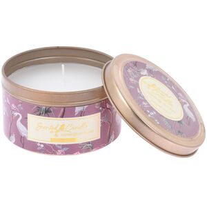 Ароматическая свеча Daphne - Winter Night 8*5 см Koopman фото 2