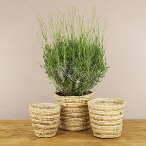 Набор декоративных кашпо Джутто 14-21 см, 3 шт Koopman фото 2