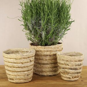 Набор декоративных кашпо Джутто 14-21 см, 3 шт Koopman фото 3