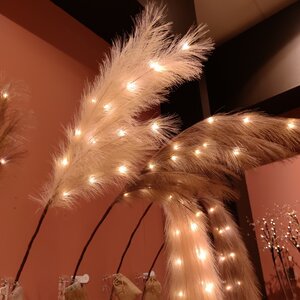 Светящаяся ветка для декора Перо Manosque - Mokko 70 см, теплые белые LED, на батарейках Kaemingk фото 5
