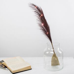 Светящаяся ветка для декора Перо Маноскью 70 см шоколадная, теплые белые LED, на батарейках Kaemingk (Кейминг) фото 3