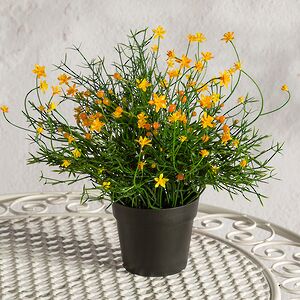 Искусственный цветок в горшке Хатиора 25 см, желтый Summer Deco фото 4