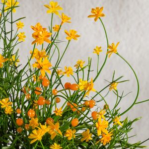 Искусственный цветок в горшке Хатиора 25 см, желтый Summer Deco фото 5