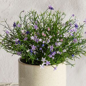 Искусственный цветок в горшке Wild Violet 26 см Summer Deco фото 2