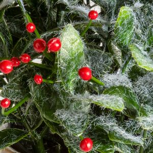 Искусственное растение в горшке Frost Garden 23 см Summer Deco фото 5