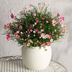 Искусственный цветок в горшке Ginosa 36 см, розовый